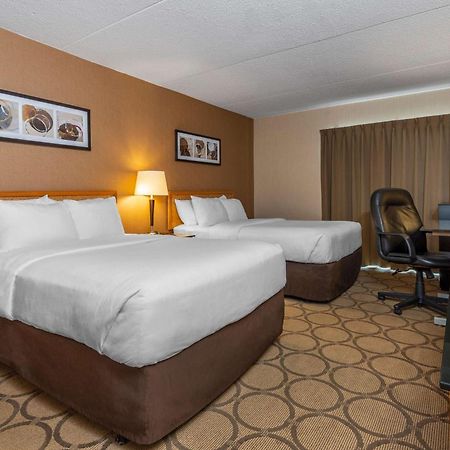 Comfort Inn Campbellton Extérieur photo