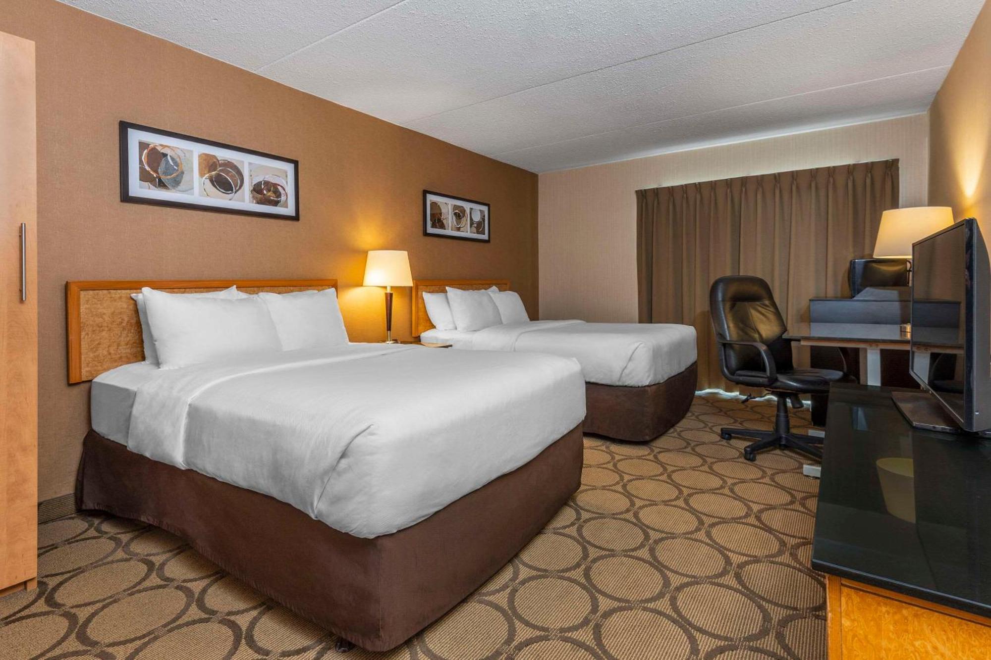 Comfort Inn Campbellton Extérieur photo