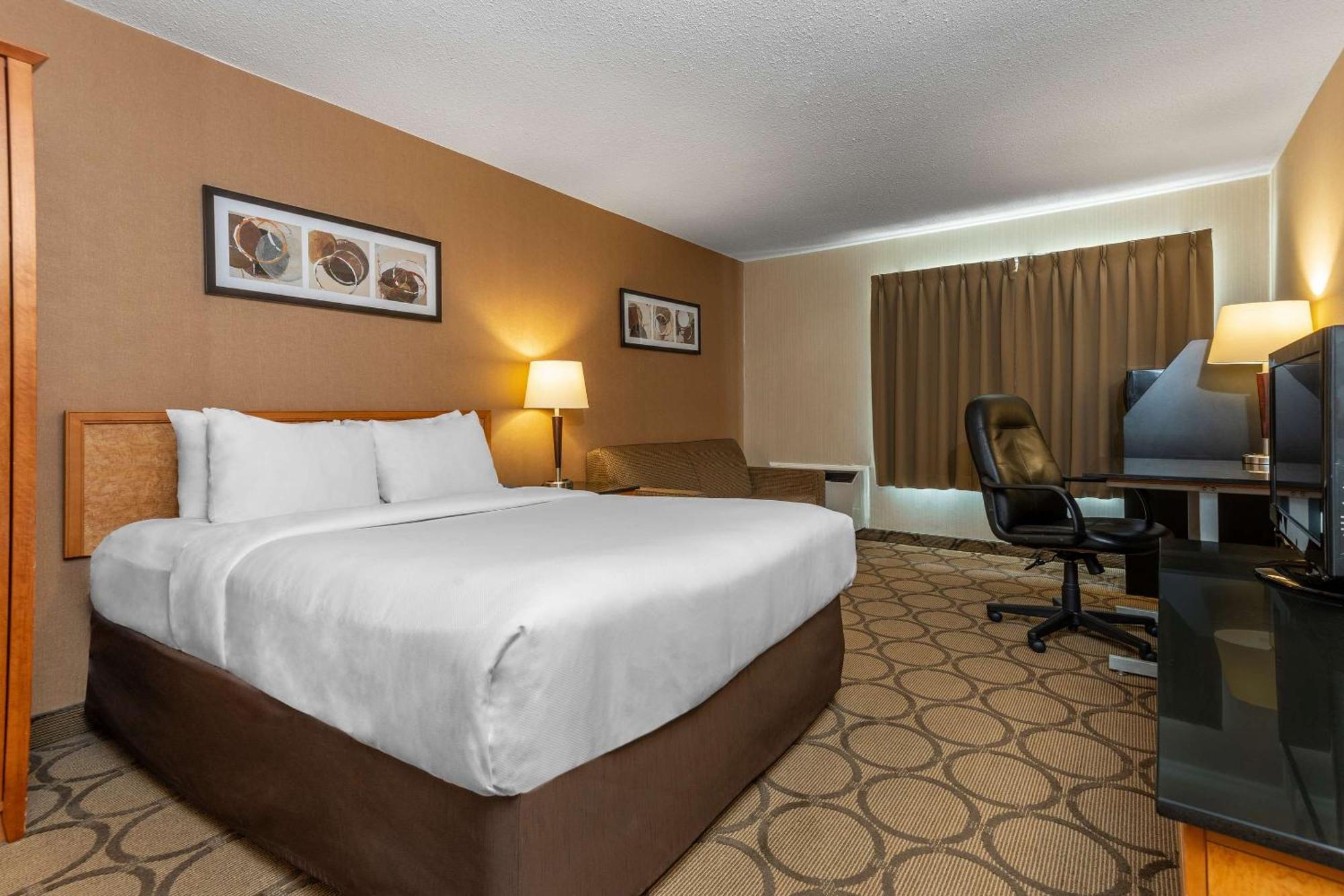 Comfort Inn Campbellton Extérieur photo